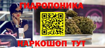 spice Тверь