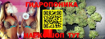 spice Тверь