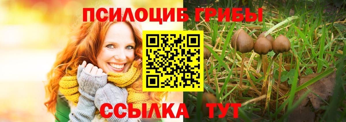 Псилоцибиновые грибы мицелий  Вход с VPN  наркота  Псилоцибиновые грибы Psilocybe  Набережные Челны 